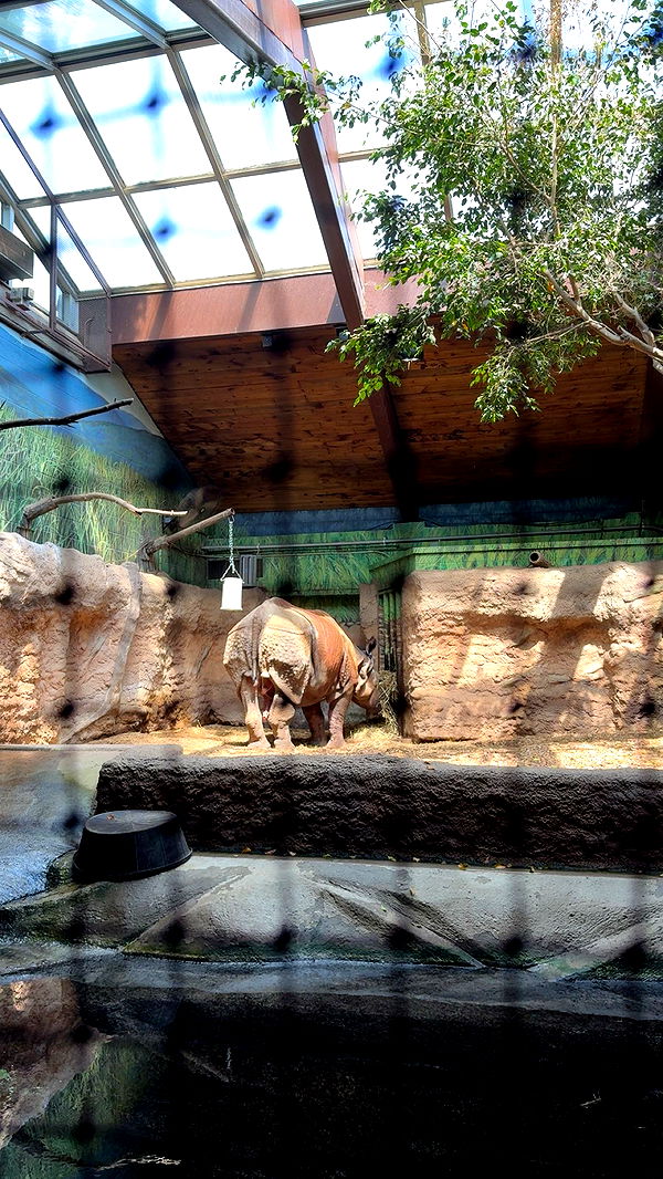 c.aitknight image ~ Altpins