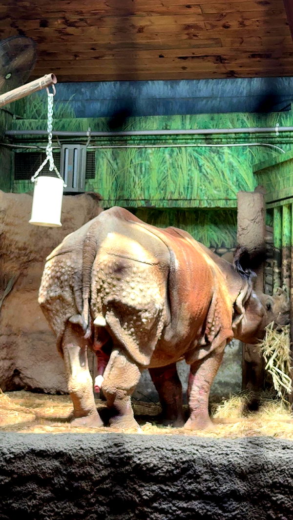 c.aitknight image ~ Altpins