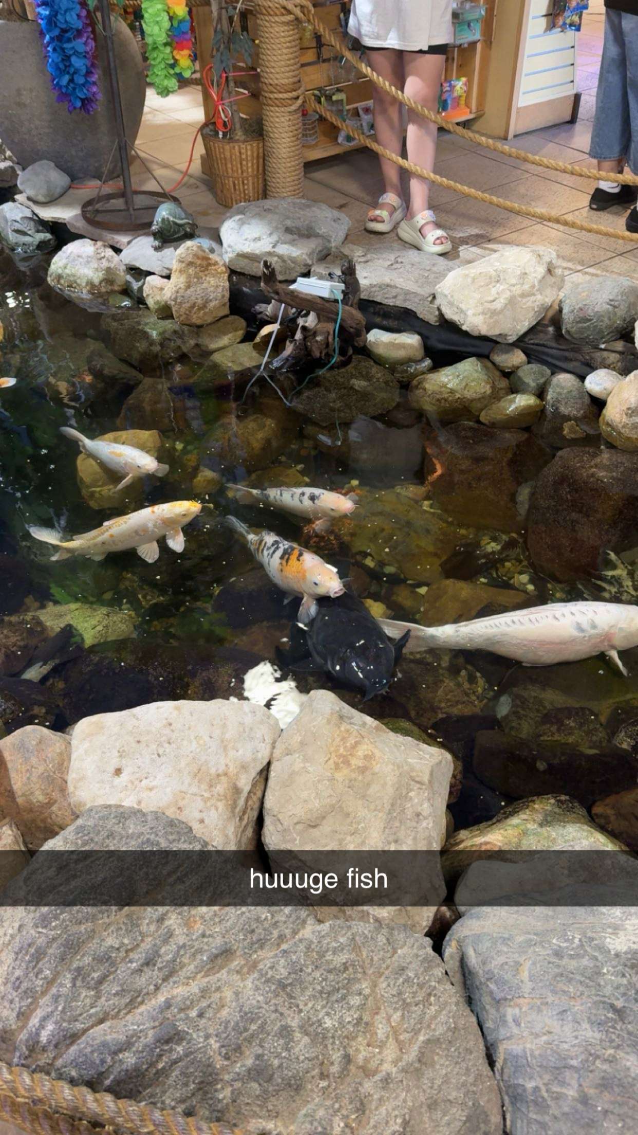 c.aitknight snapchat image archive image