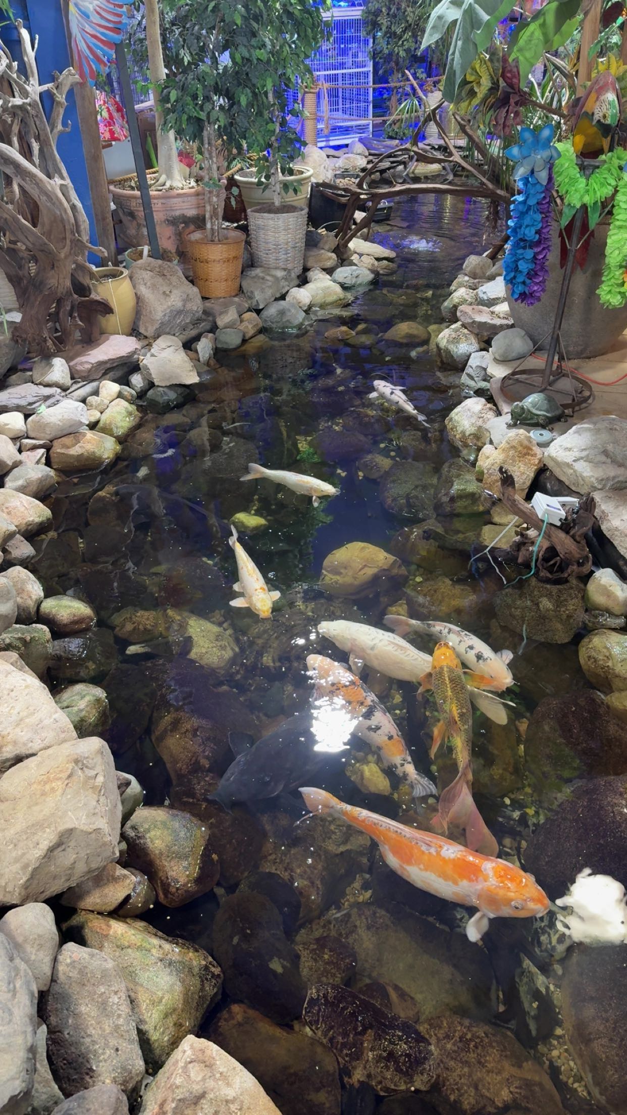 c.aitknight snapchat image archive image