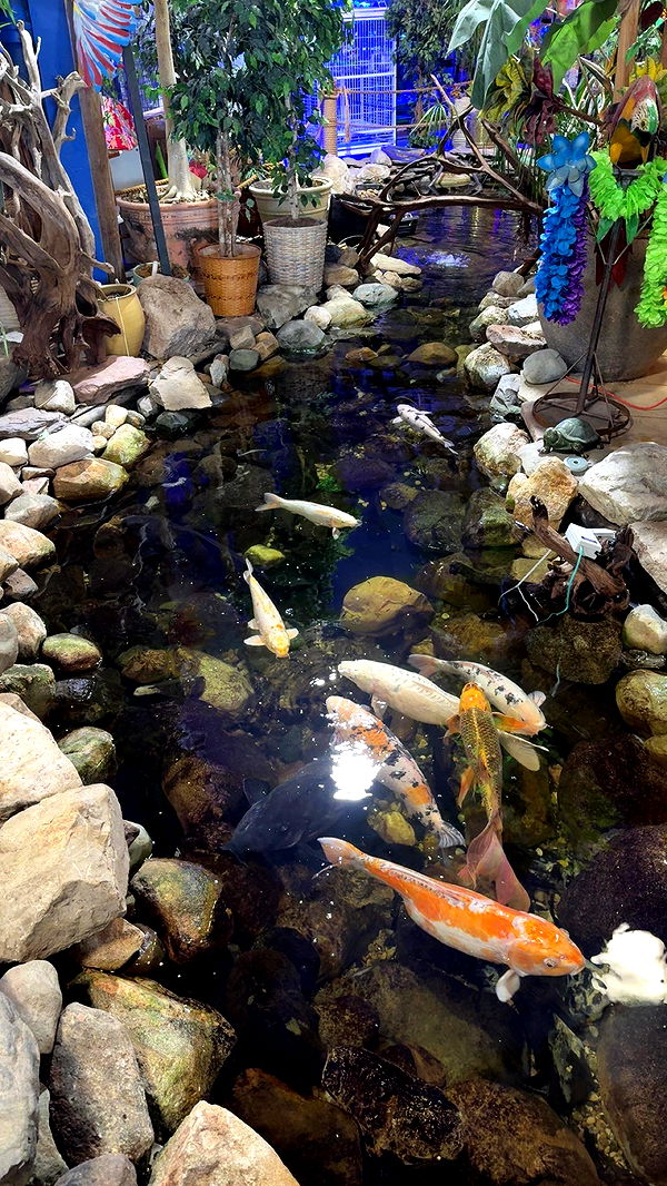 c.aitknight image ~ Altpins