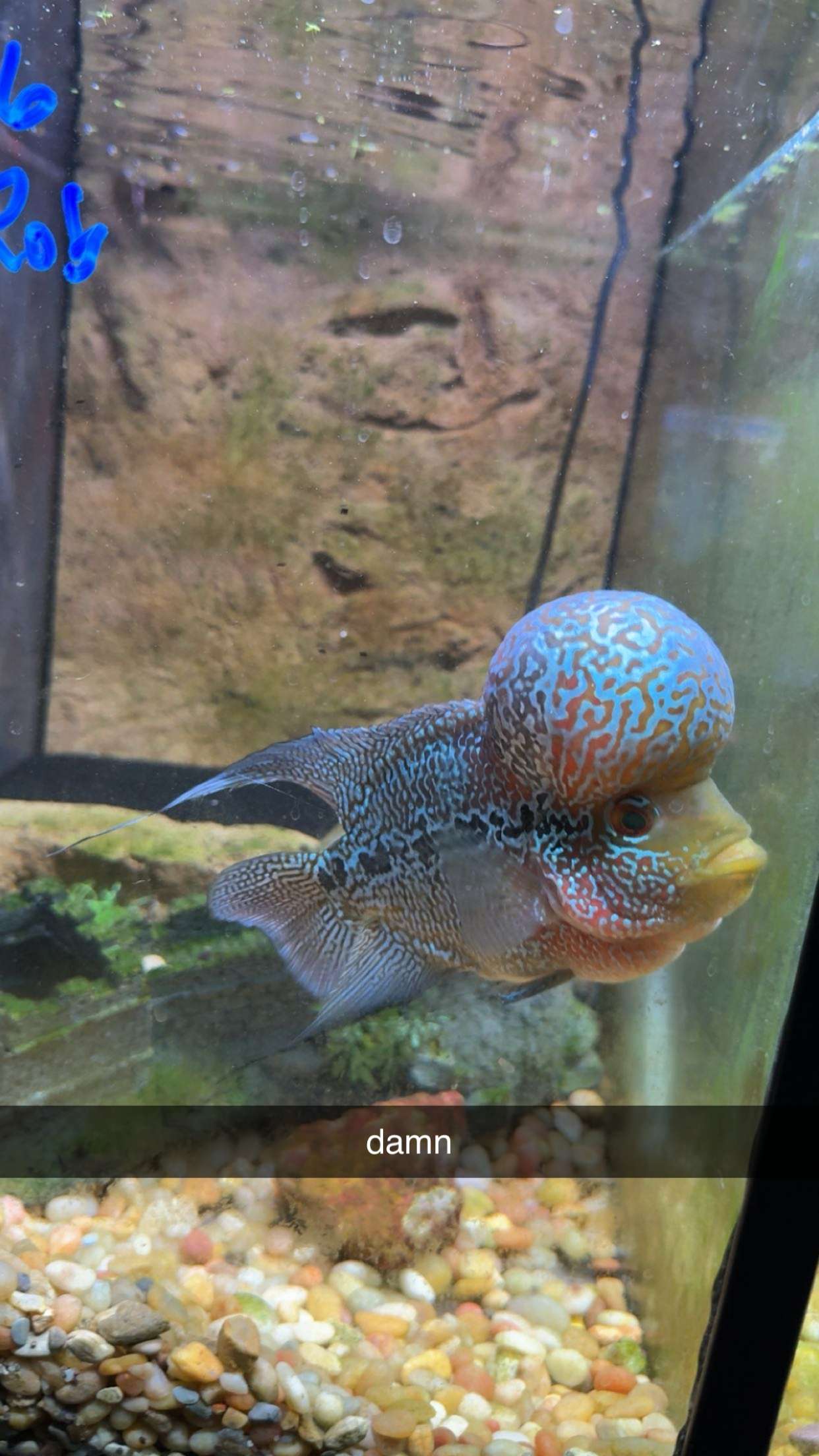 c.aitknight snapchat image archive image