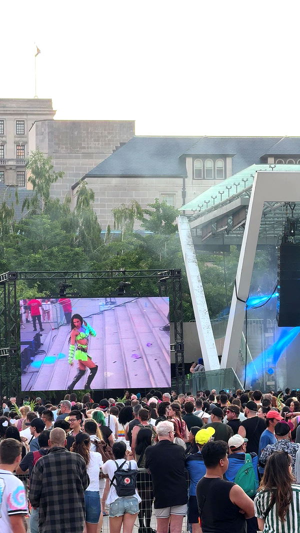 c.aitknight image ~ Altpins