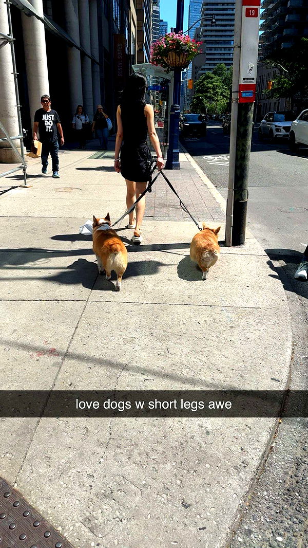 c.aitknight image ~ Altpins