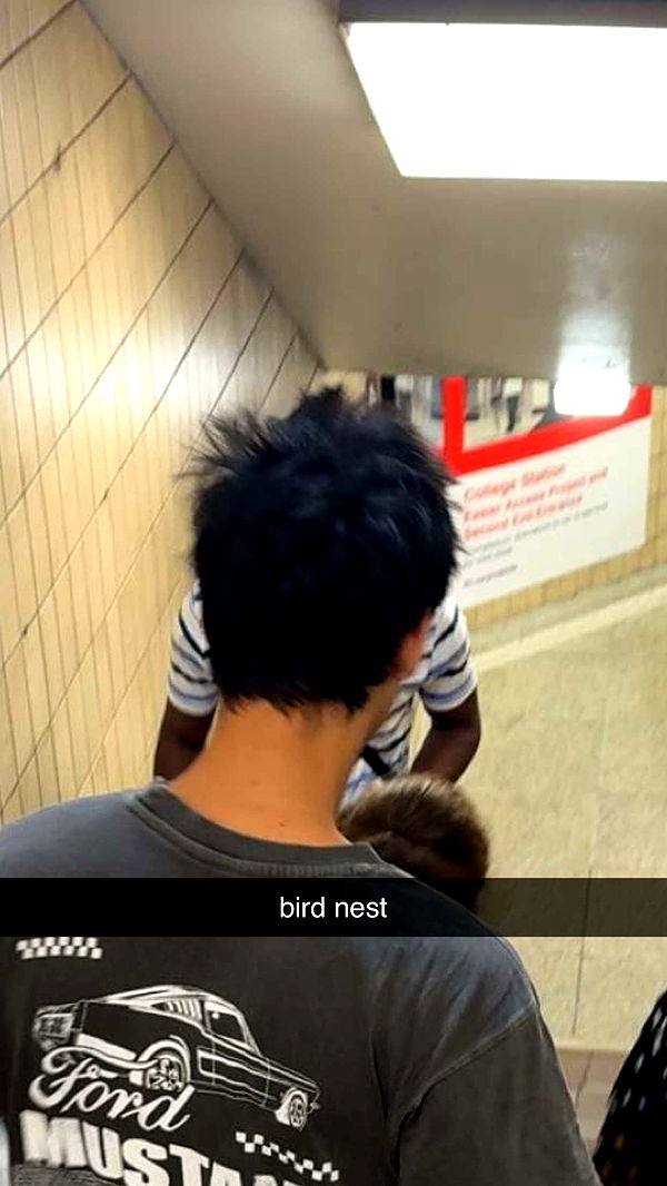 c.aitknight image ~ Altpins