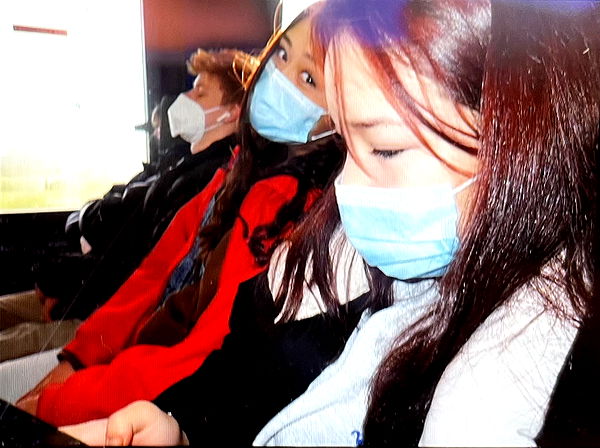 c.aitknight image ~ Altpins