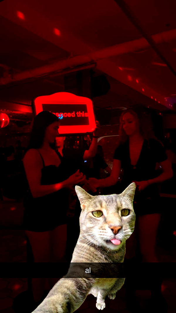 c.aitknight image ~ Altpins