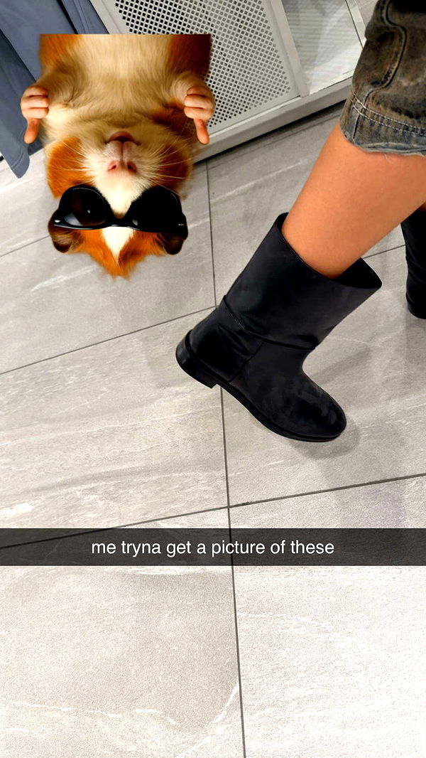 c.aitknight image ~ Altpins