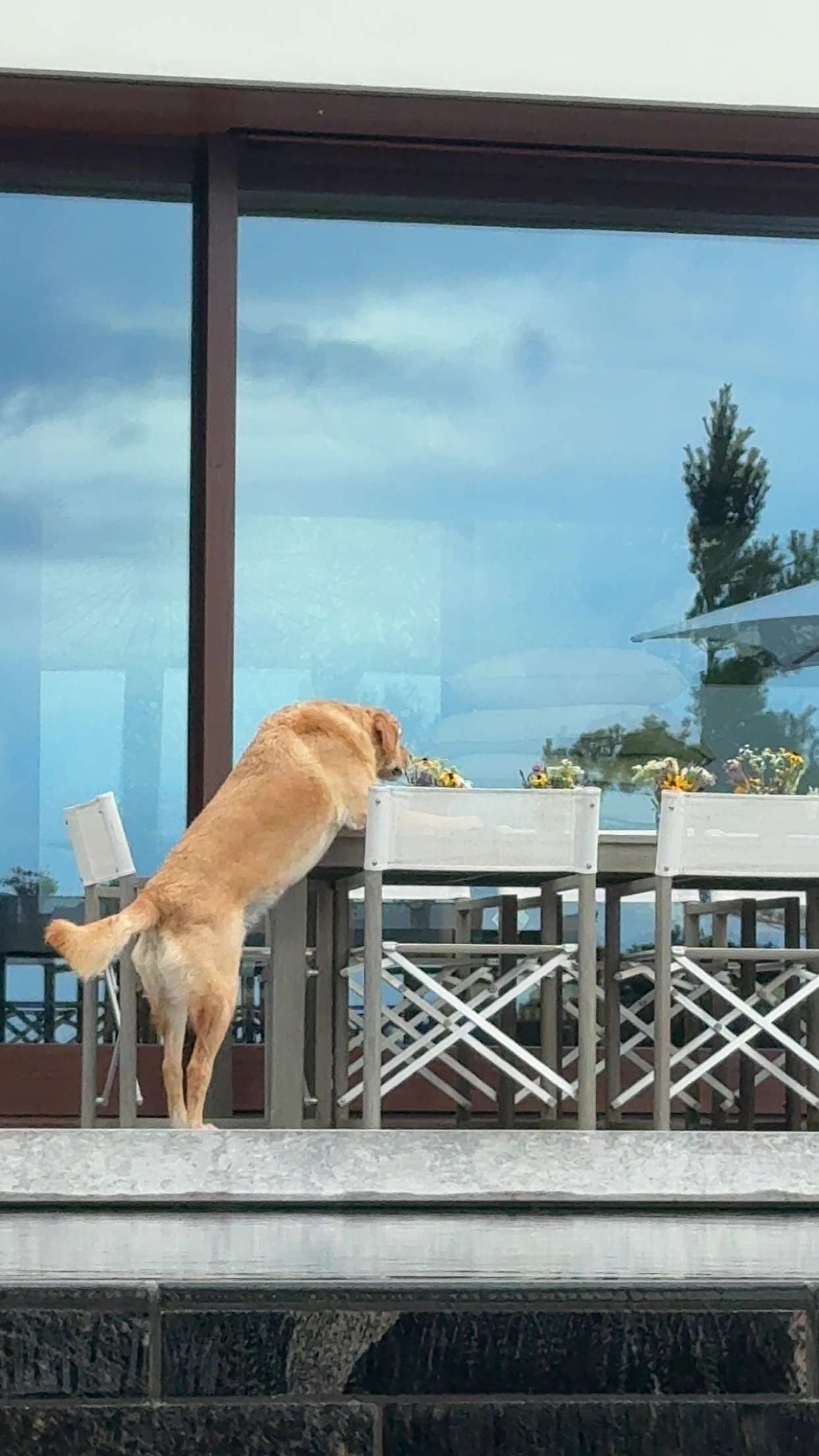 c.aitknight snapchat image archive image