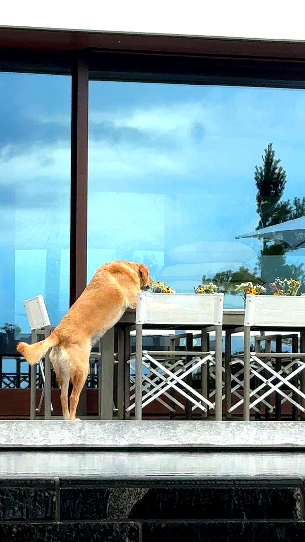 c.aitknight image ~ Altpins