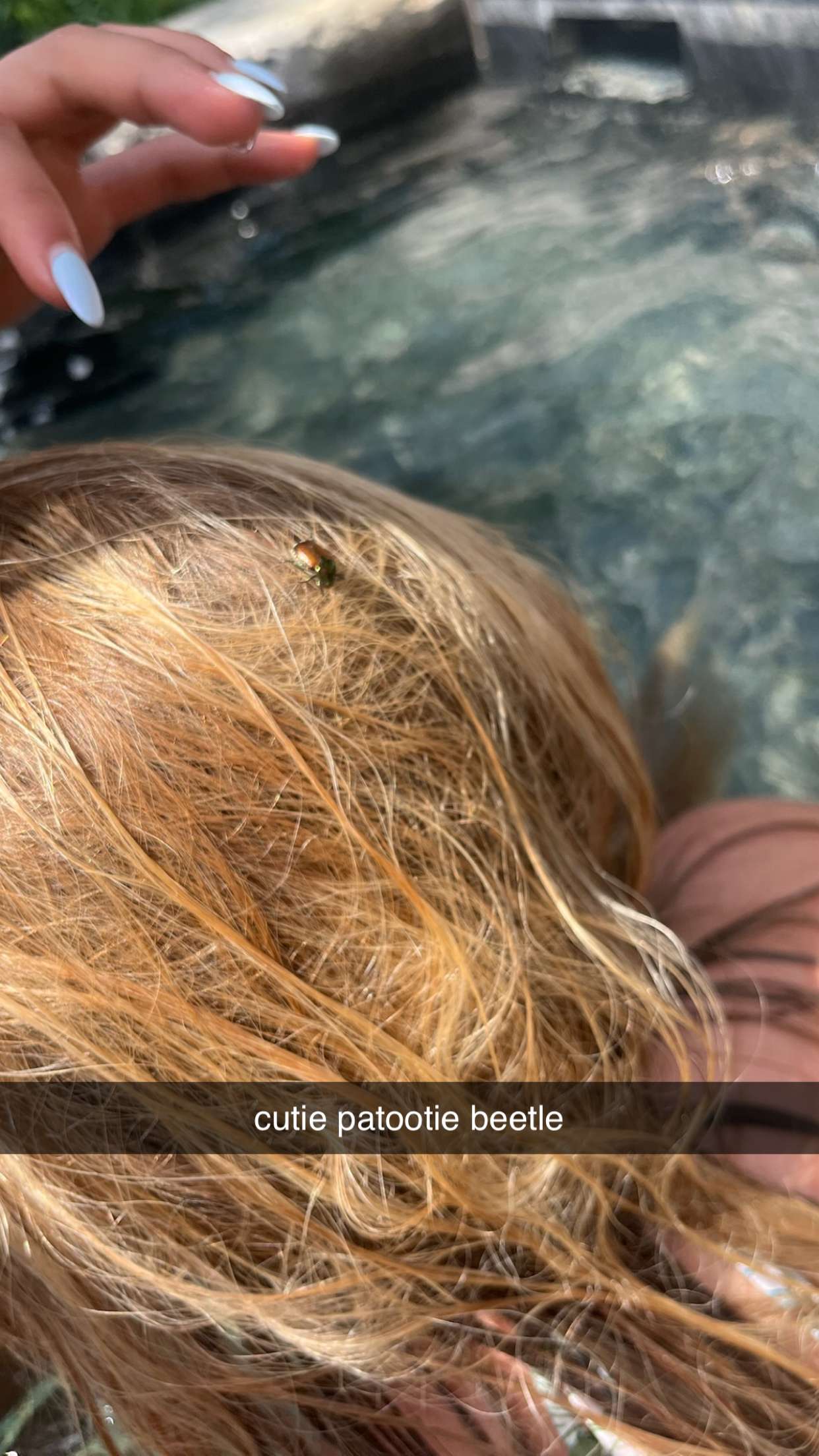 c.aitknight snapchat image archive image