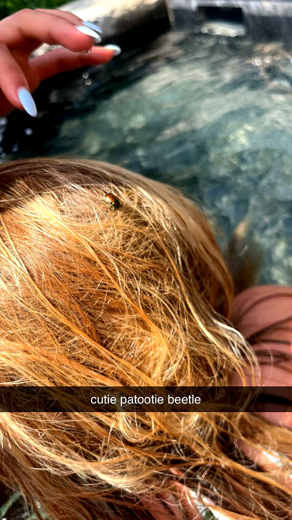 c.aitknight image ~ Altpins