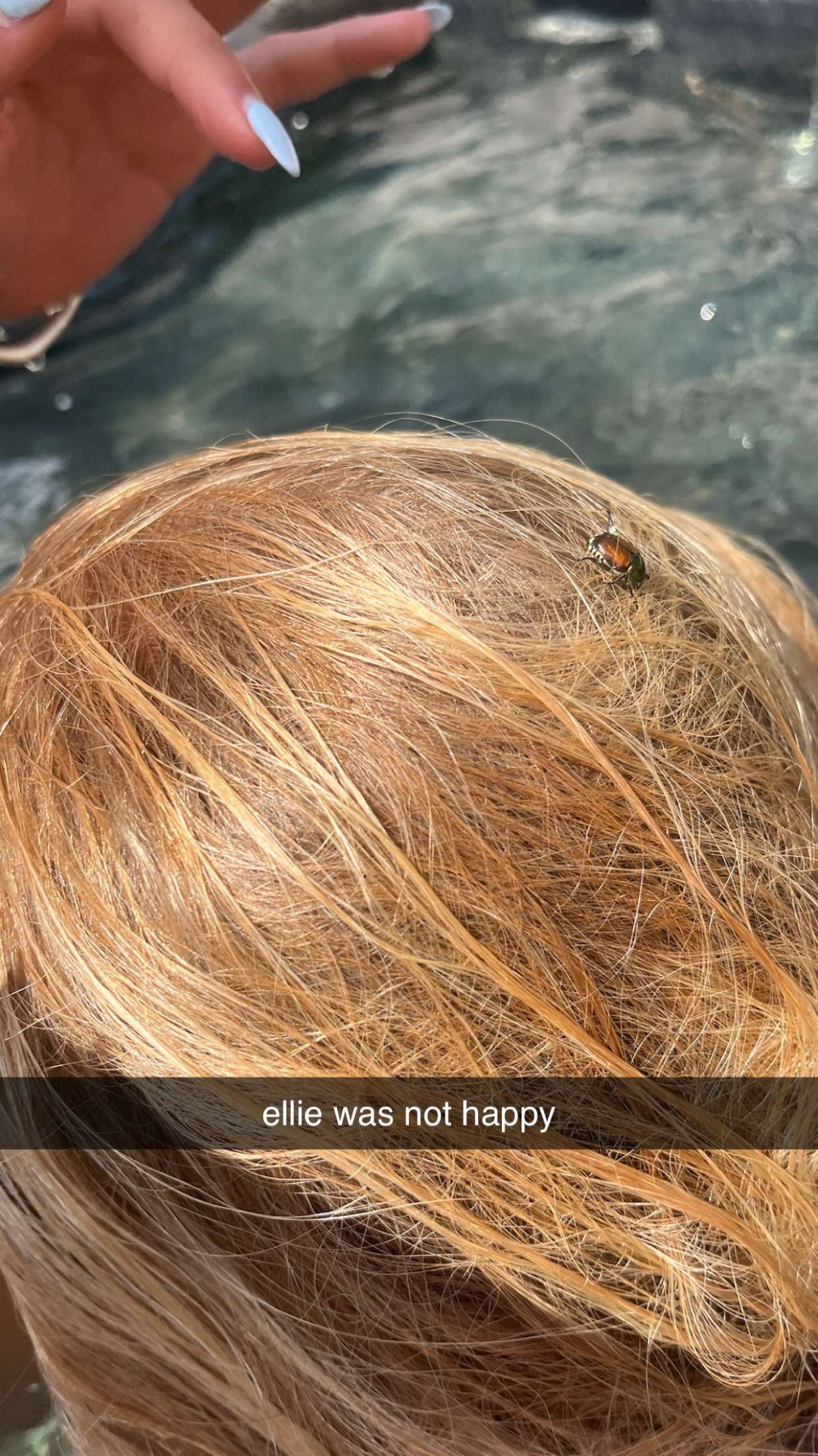 c.aitknight snapchat image archive image