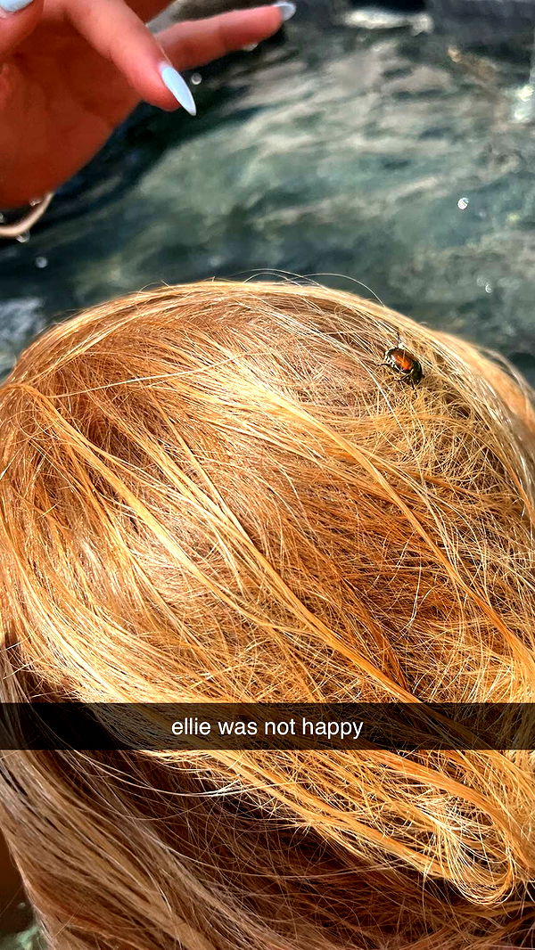 c.aitknight image ~ Altpins