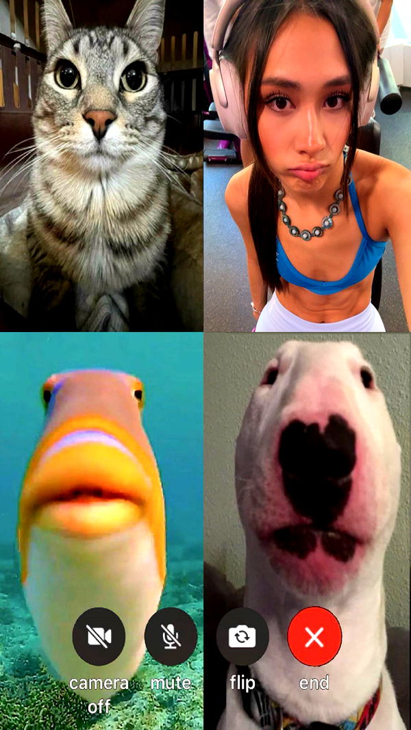 c.aitknight image ~ Altpins