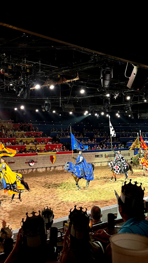 c.aitknight image ~ Altpins