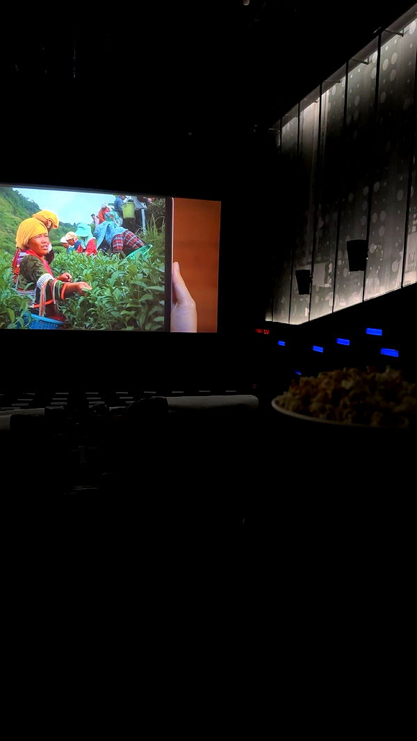 c.aitknight image ~ Altpins