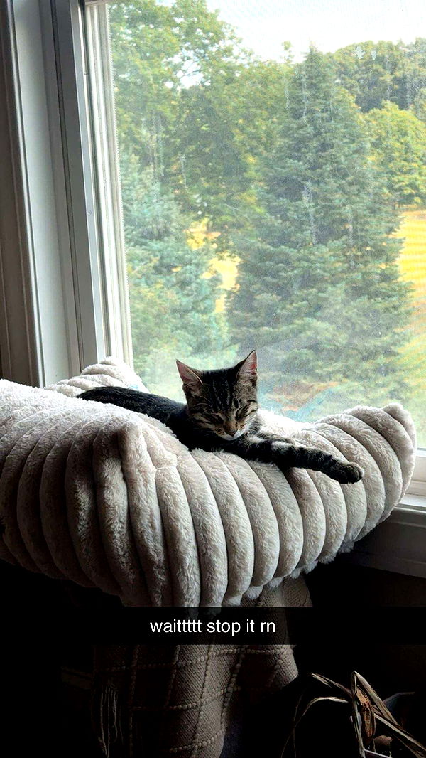 c.aitknight image ~ Altpins