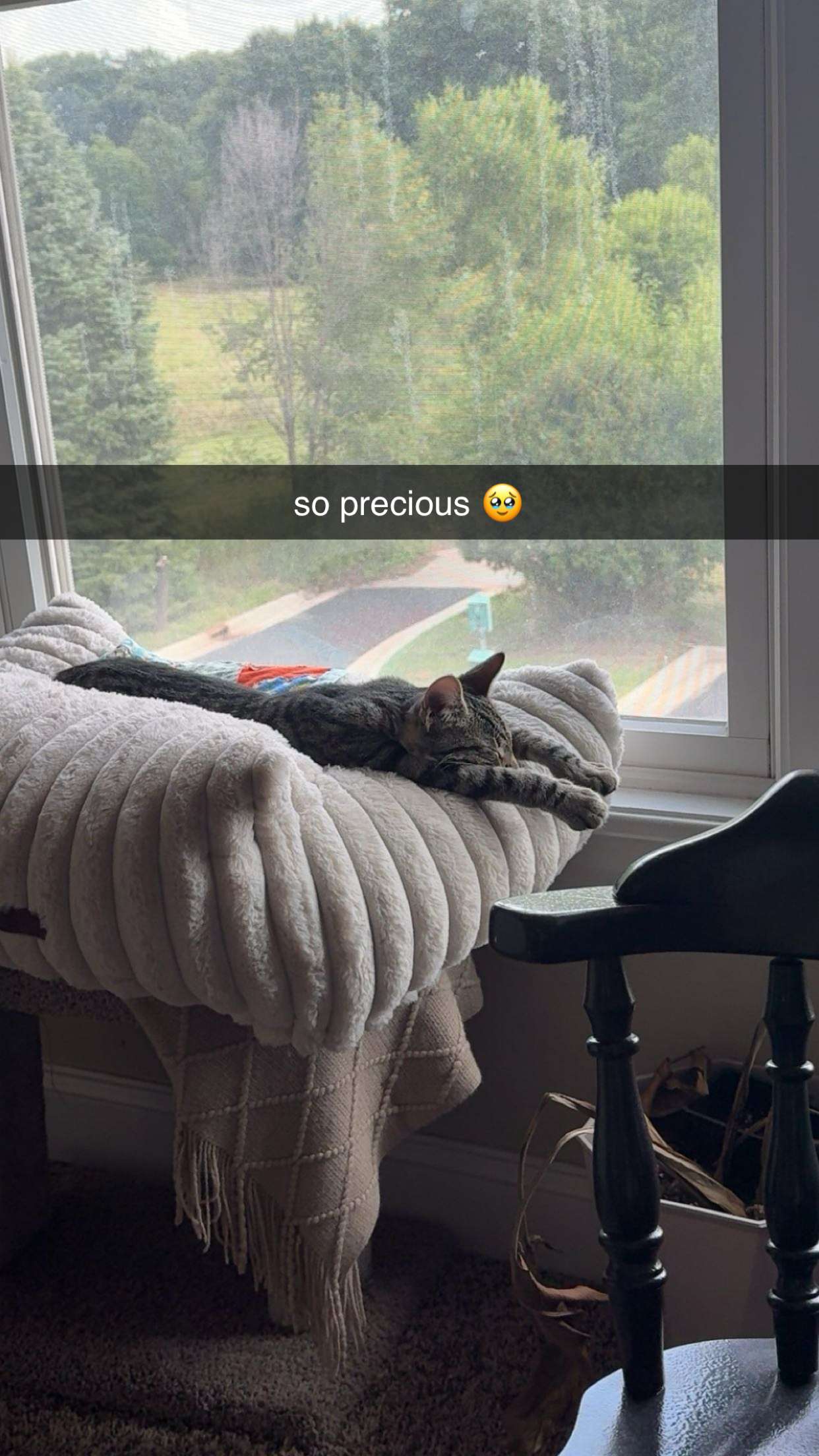 c.aitknight snapchat image archive image