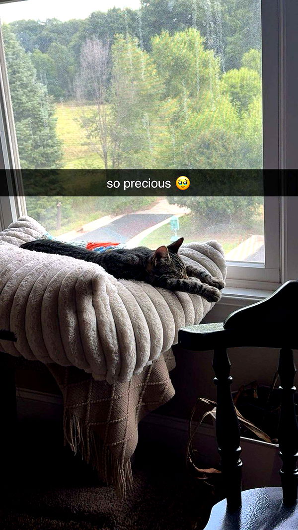 c.aitknight image ~ Altpins