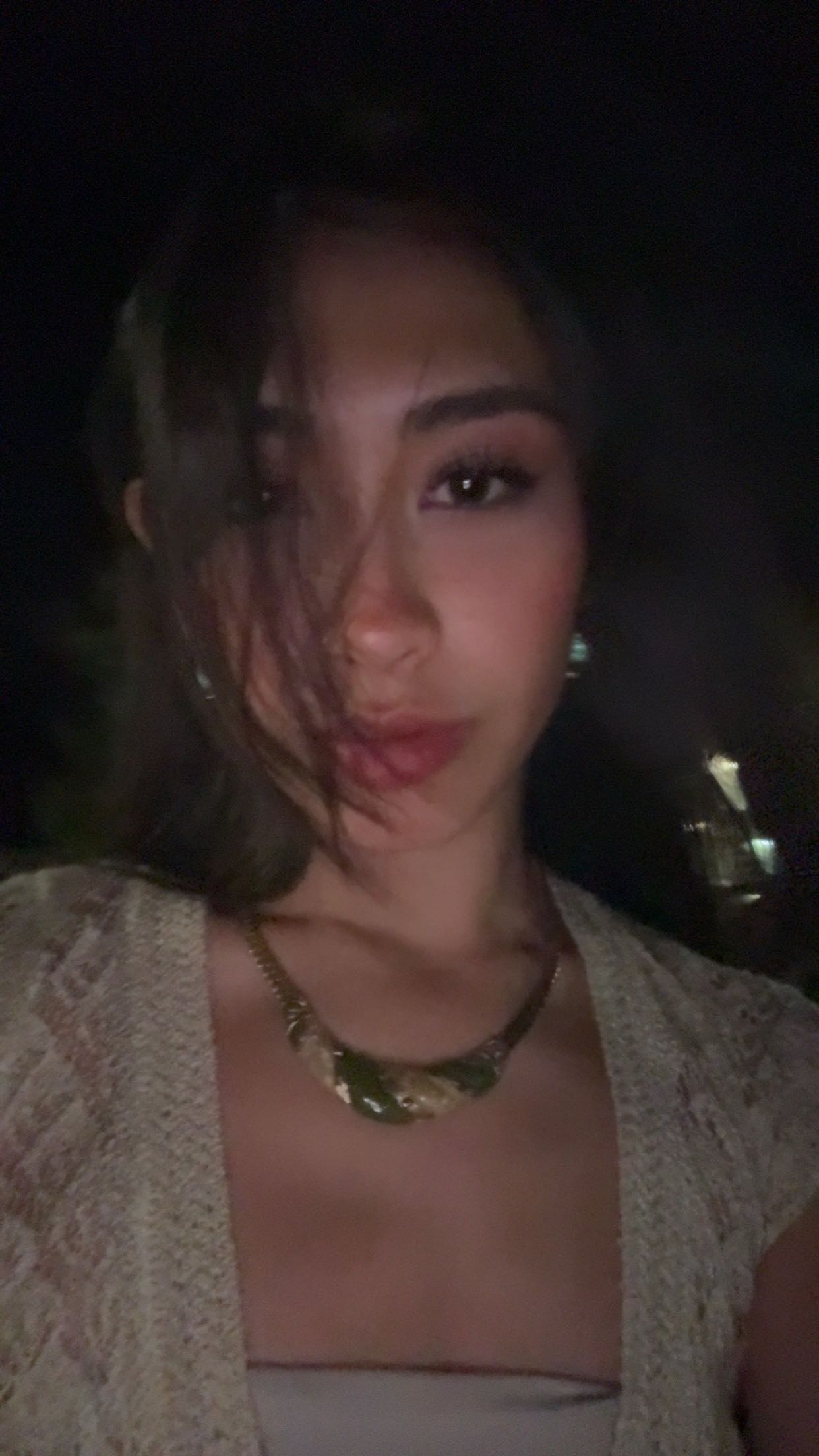 c.aitknight snapchat image archive image