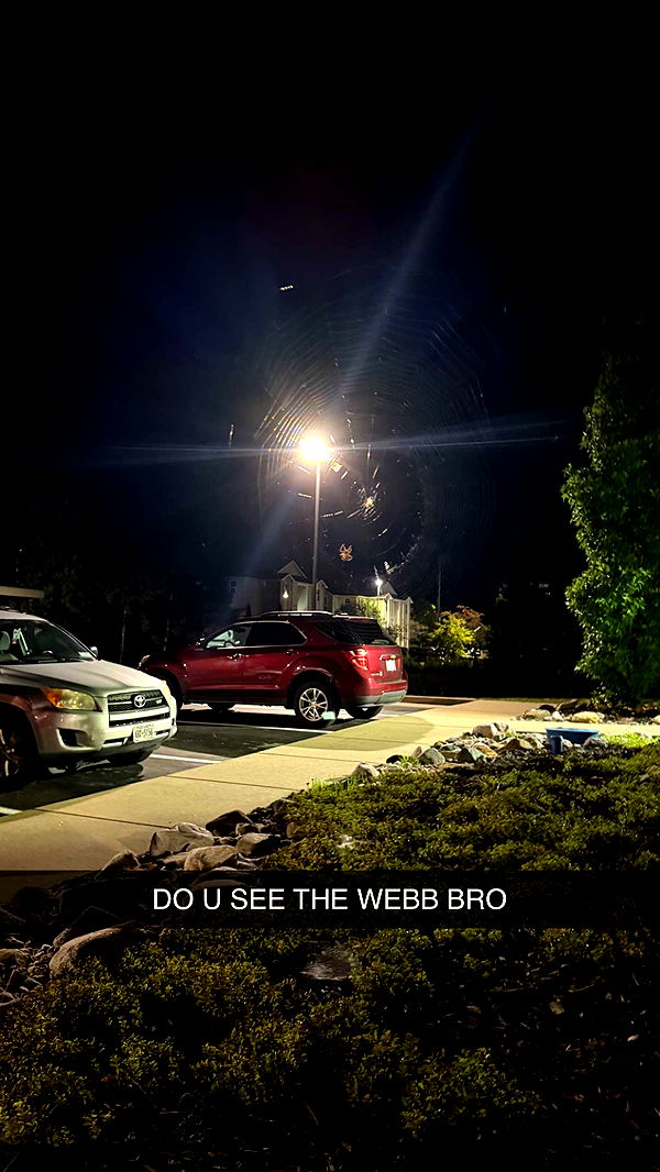 c.aitknight image ~ Altpins