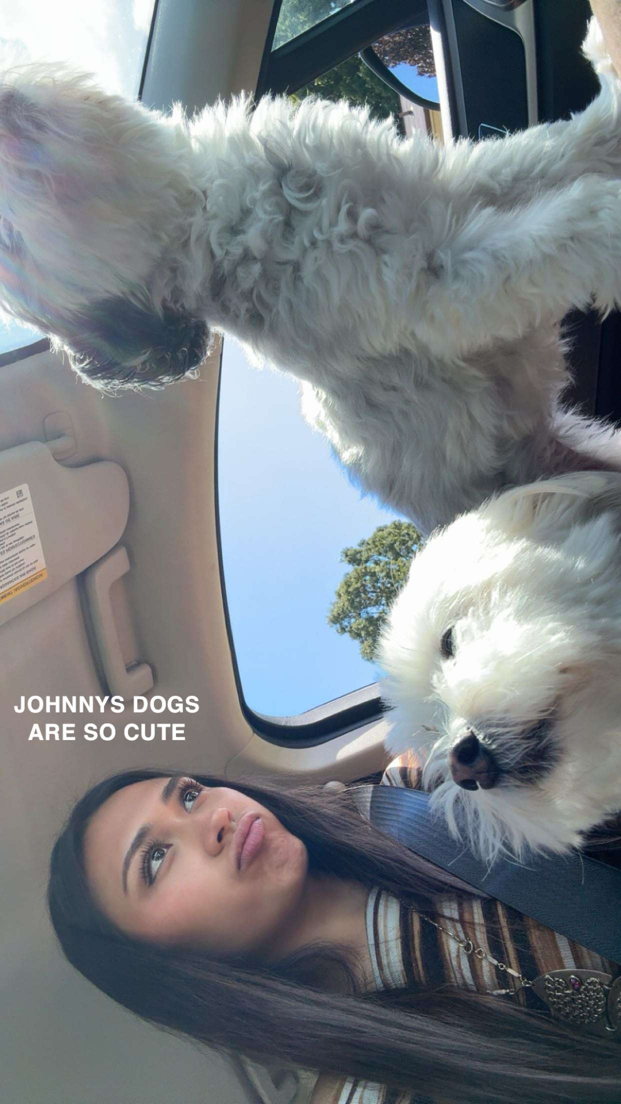 c.aitknight snapchat image archive image