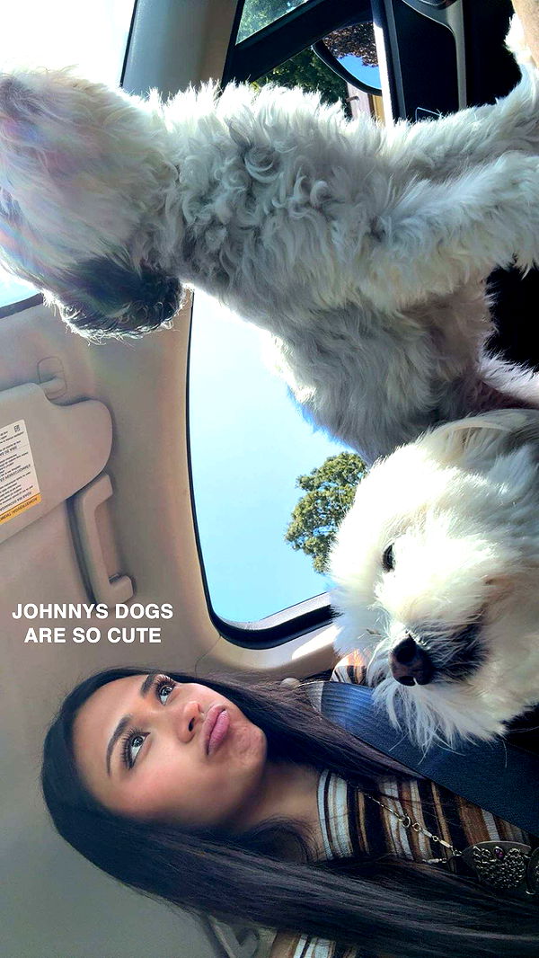 c.aitknight image ~ Altpins