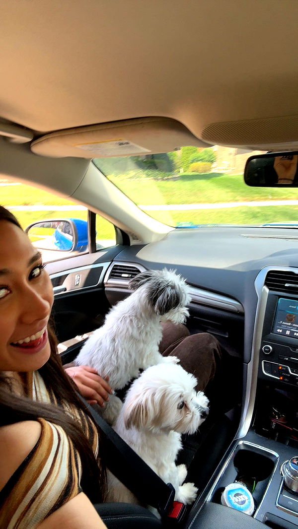 c.aitknight image ~ Altpins