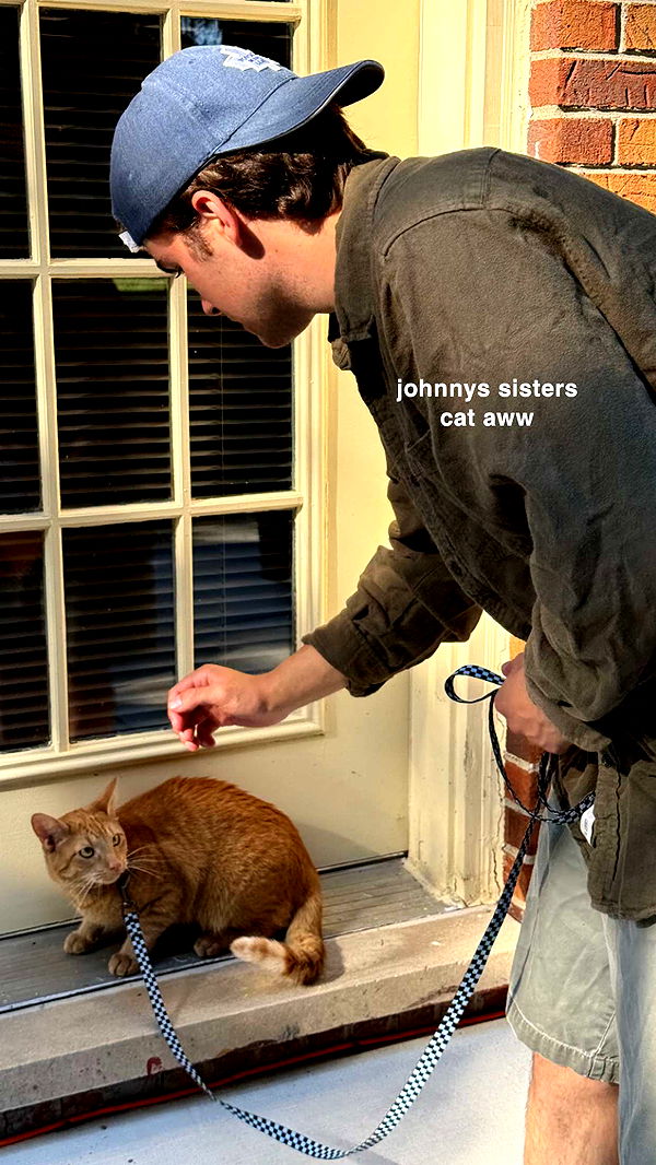 c.aitknight image ~ Altpins