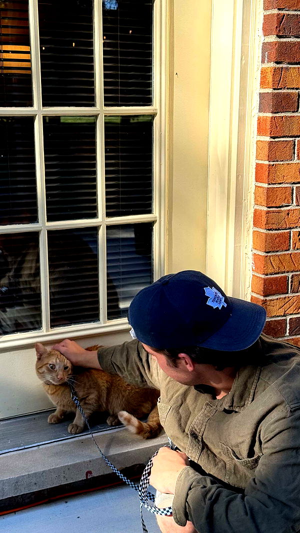 c.aitknight image ~ Altpins