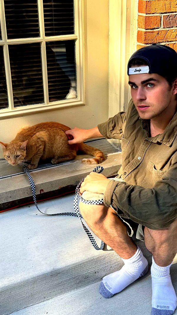 c.aitknight image ~ Altpins