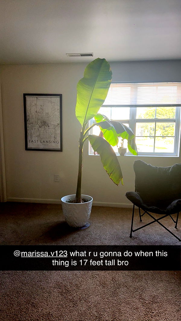 c.aitknight image ~ Altpins