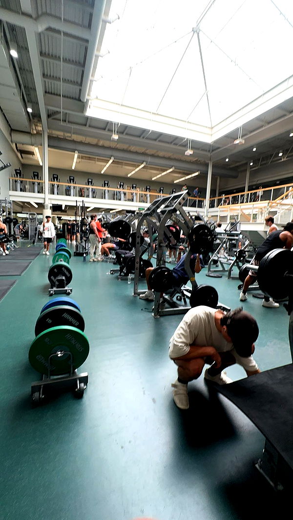 c.aitknight image ~ Altpins