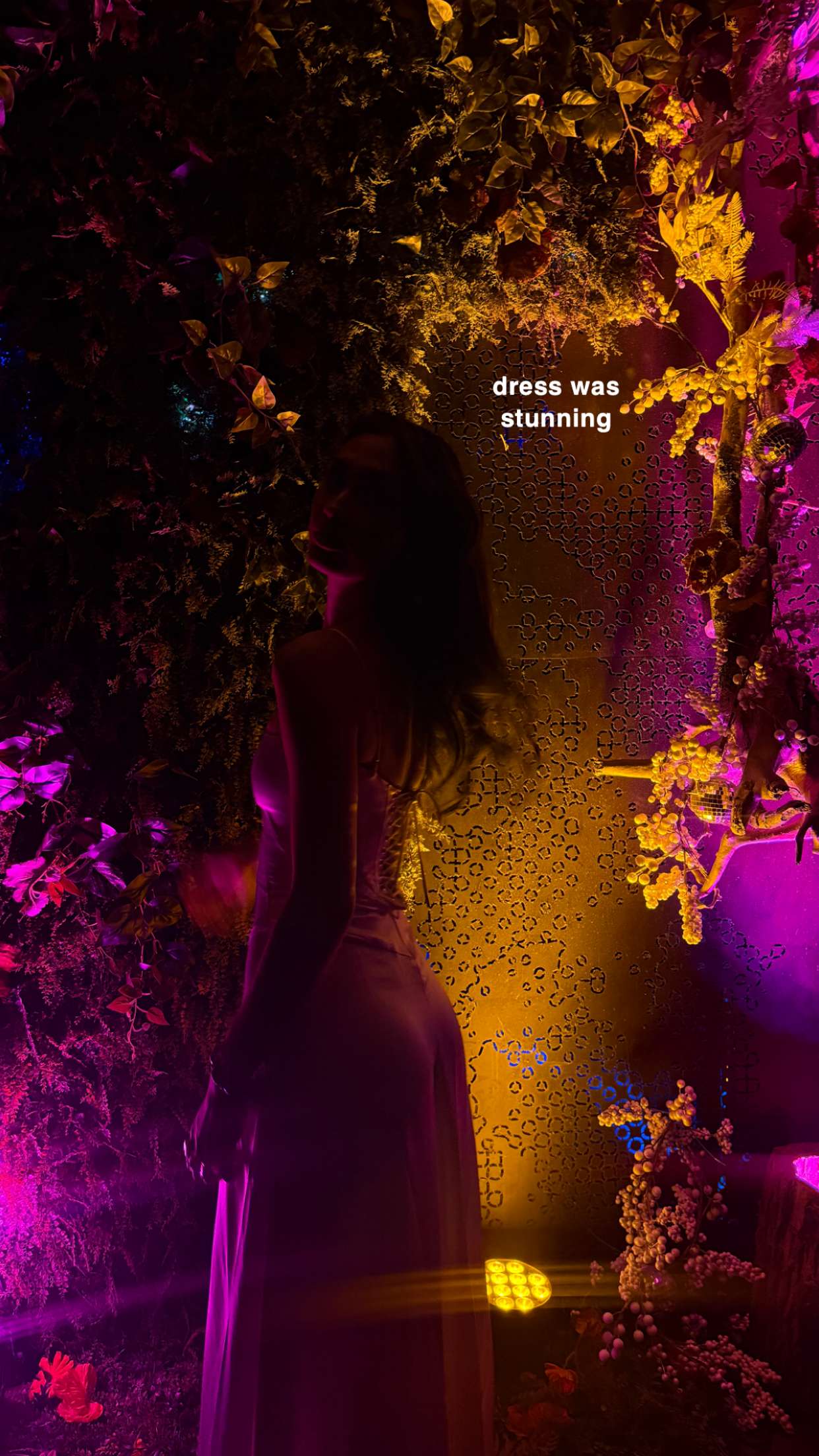 c.aitknight snapchat image archive image