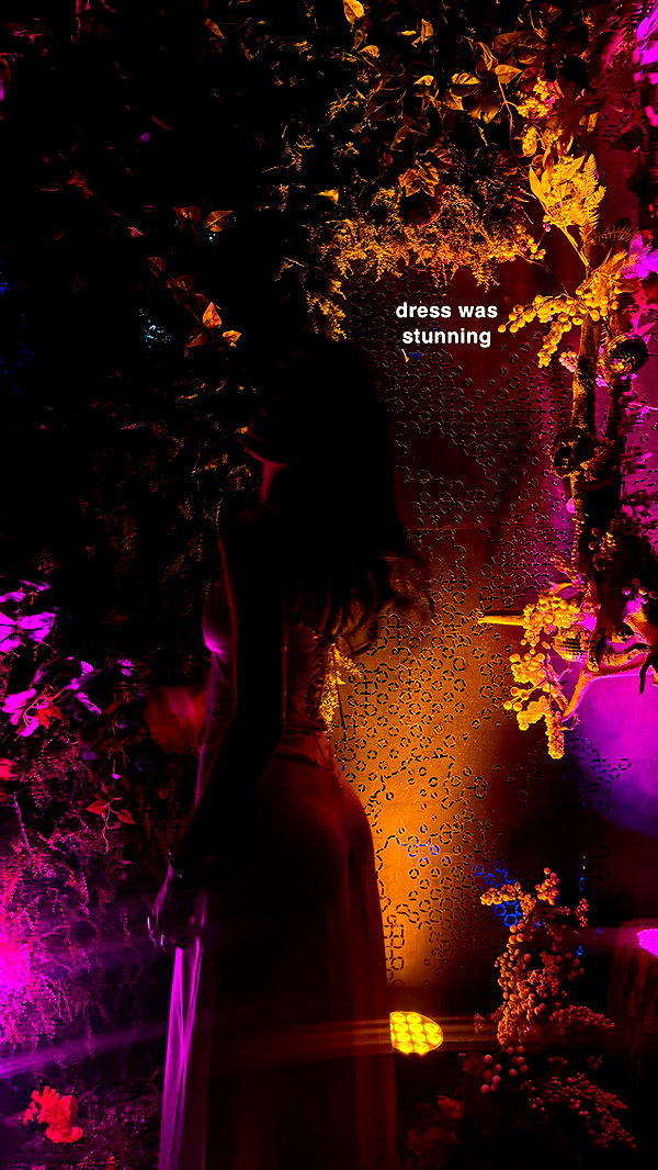 c.aitknight image ~ Altpins