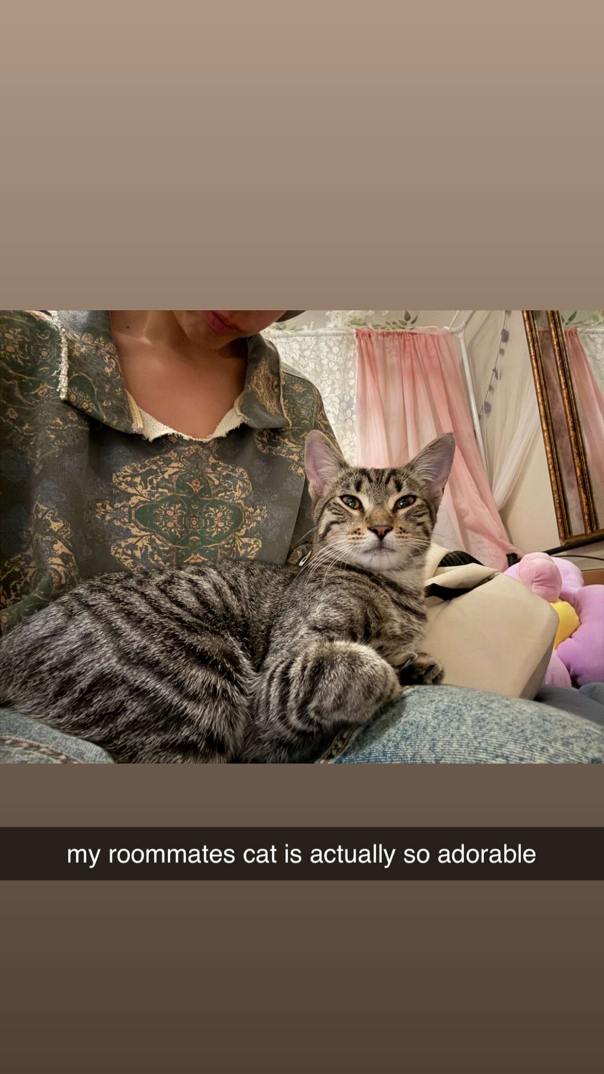 c.aitknight snapchat image archive image