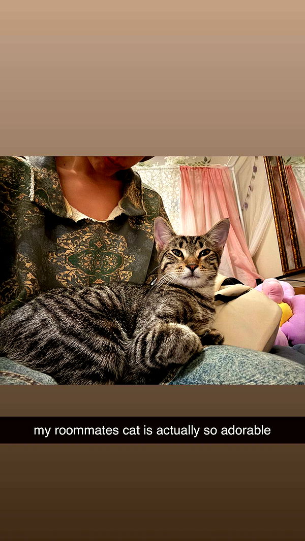 c.aitknight image ~ Altpins