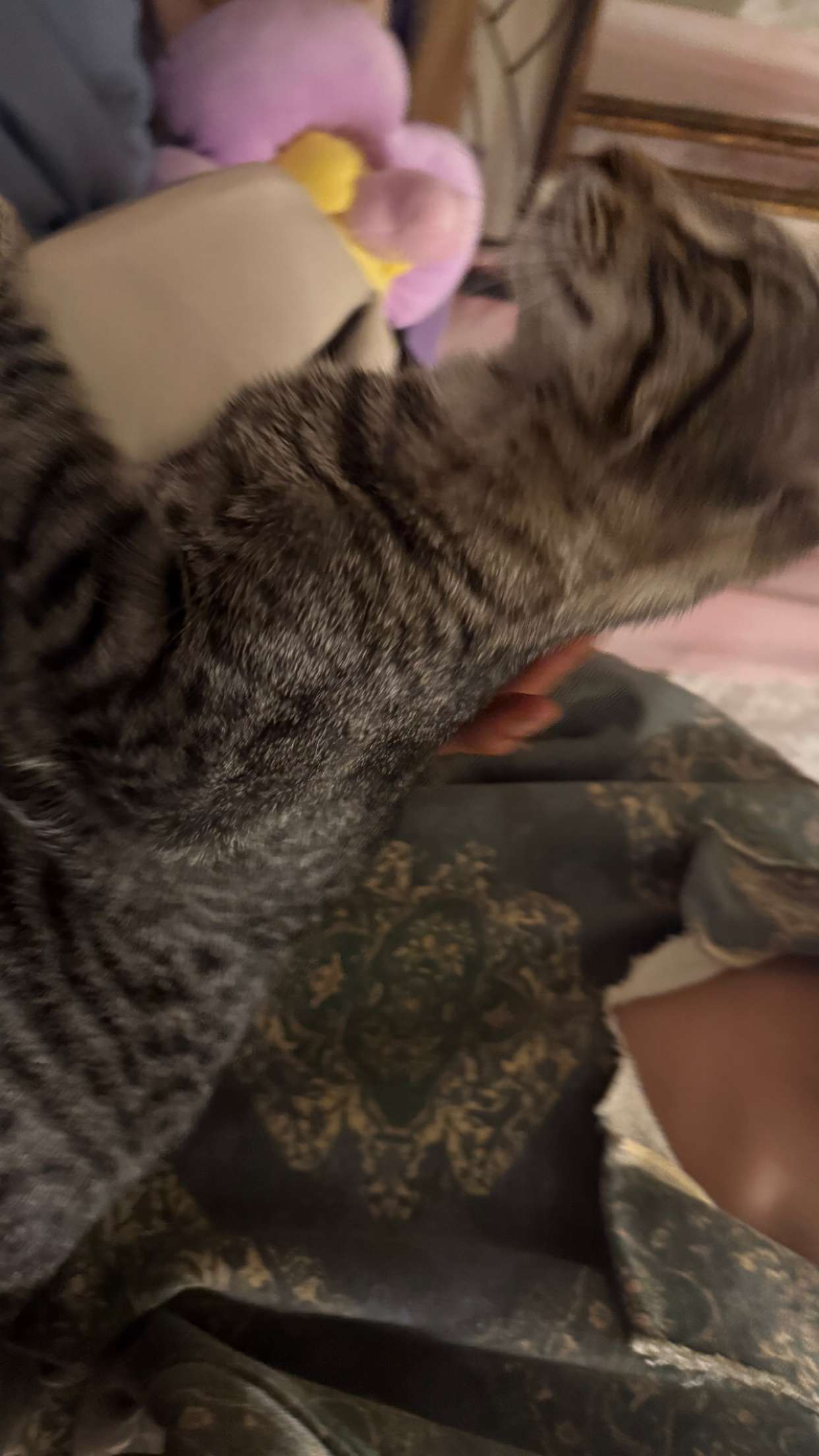 c.aitknight snapchat image archive image