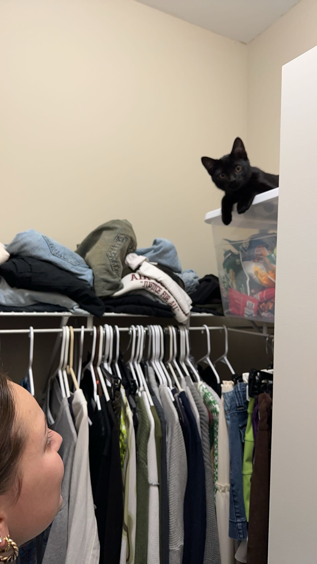 c.aitknight snapchat image archive image