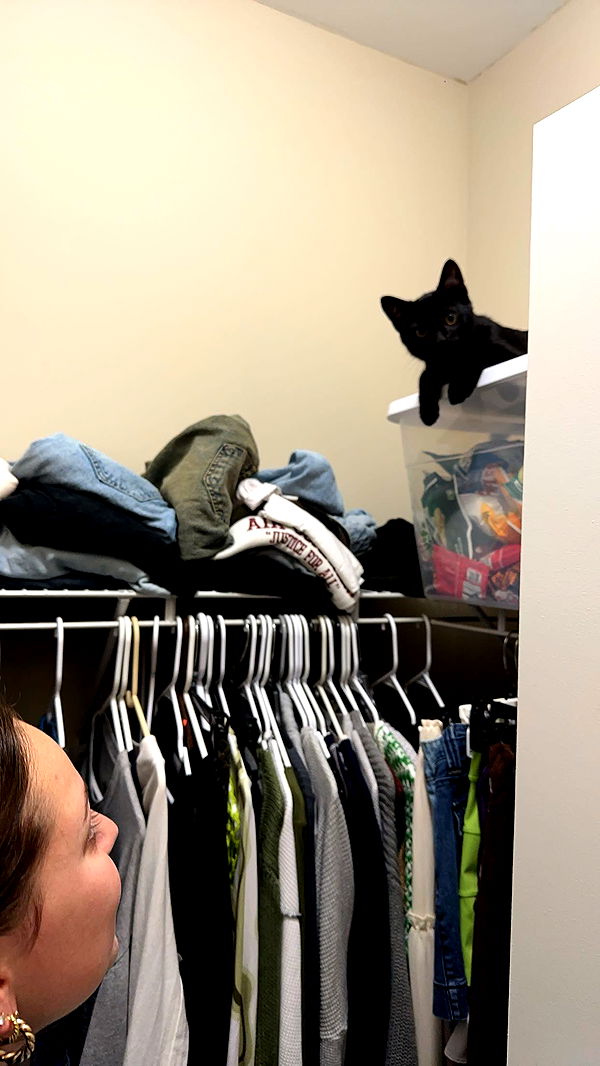 c.aitknight image ~ Altpins