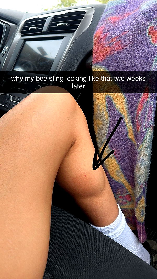 c.aitknight image ~ Altpins