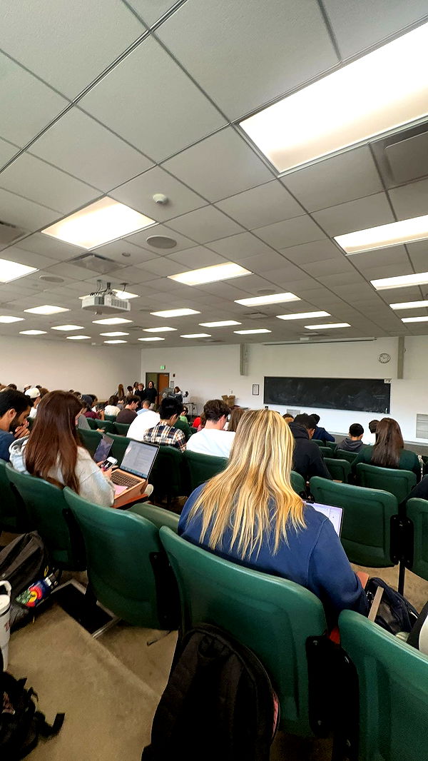 c.aitknight image ~ Altpins