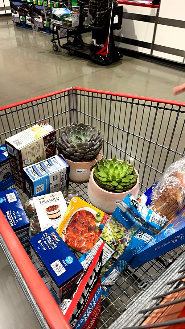 c.aitknight image ~ Altpins