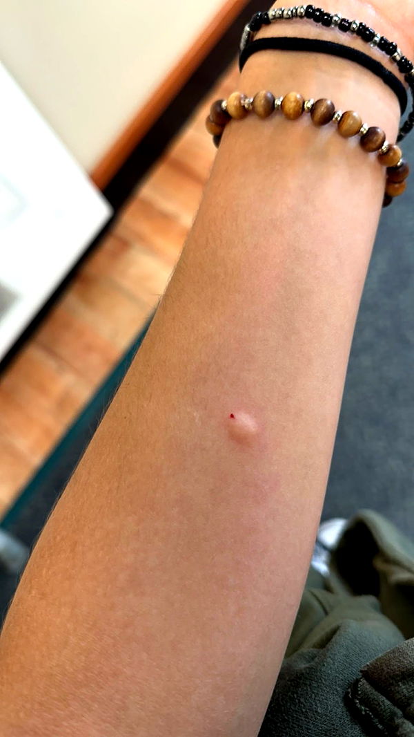 c.aitknight image ~ Altpins