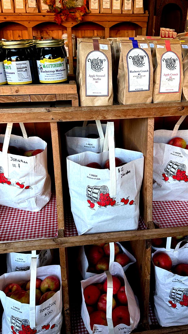 c.aitknight image ~ Altpins