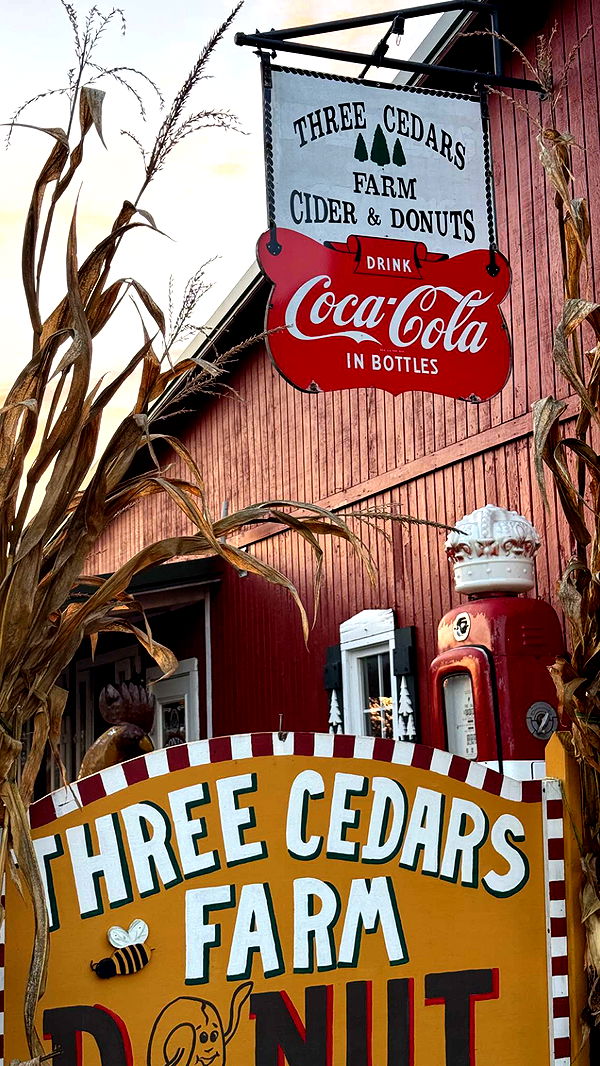 c.aitknight image ~ Altpins