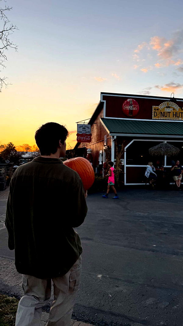 c.aitknight image ~ Altpins