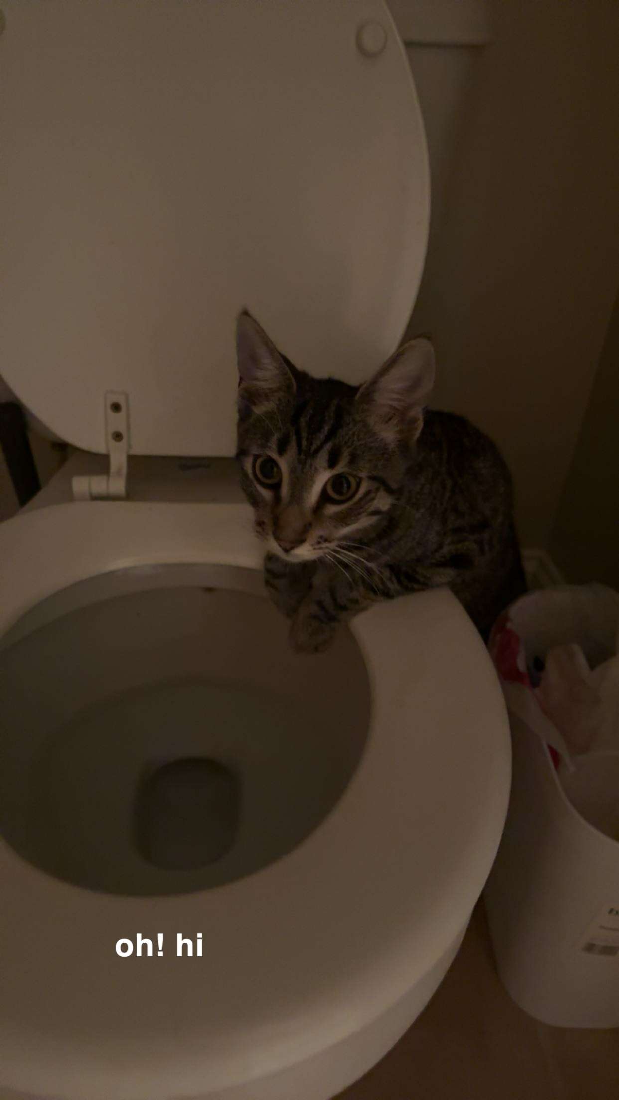 c.aitknight snapchat image archive image