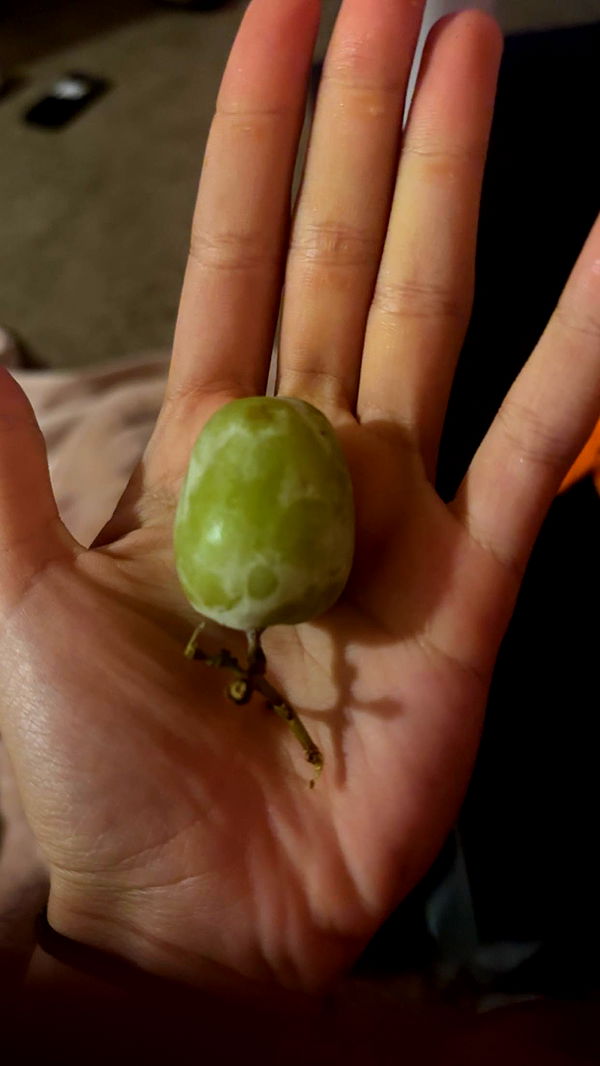 c.aitknight image ~ Altpins